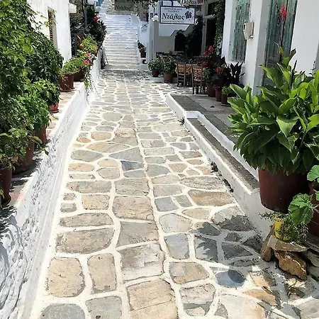 Stella's In * Koronos